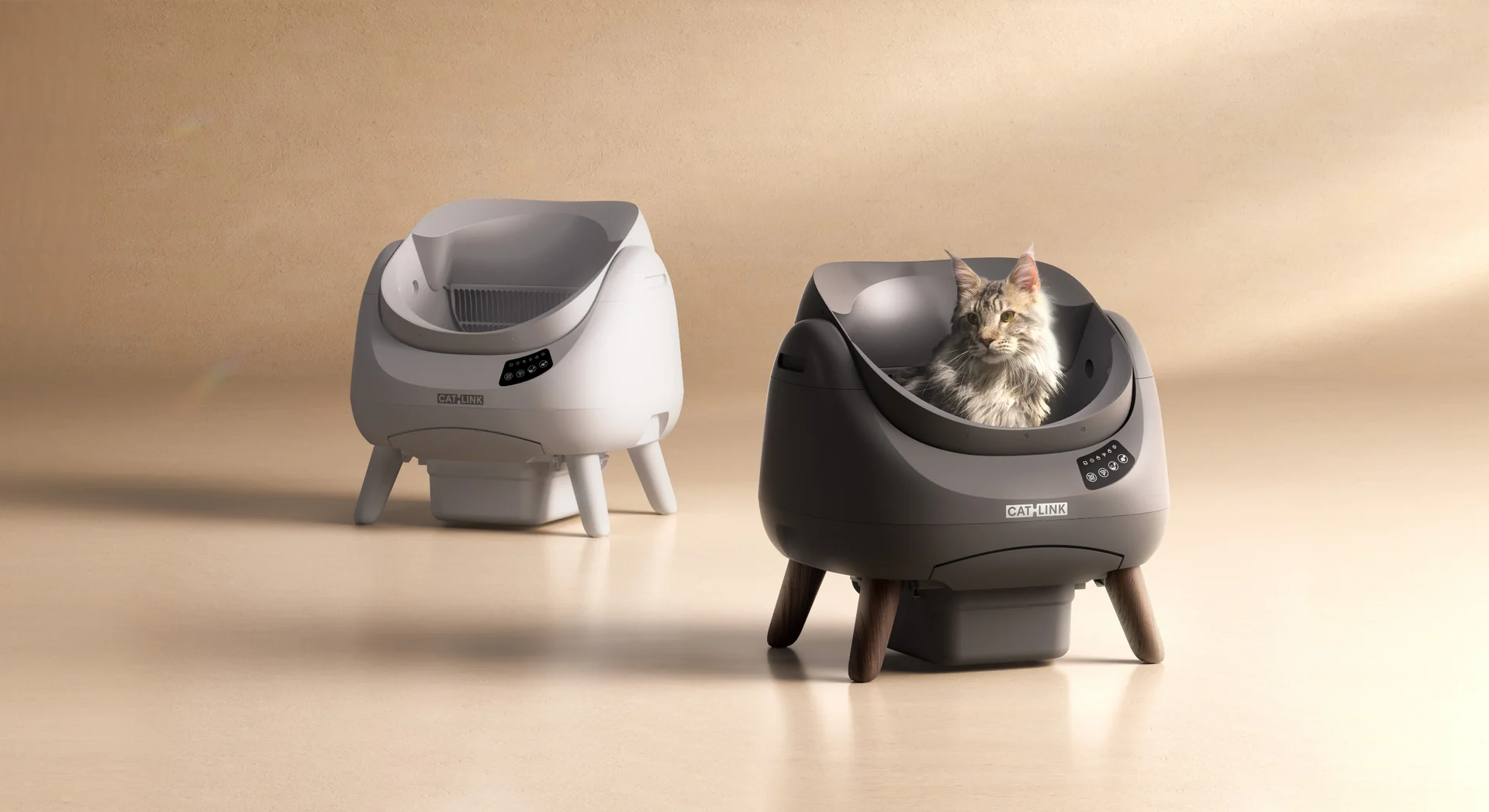 Smart Care for Modern Cats