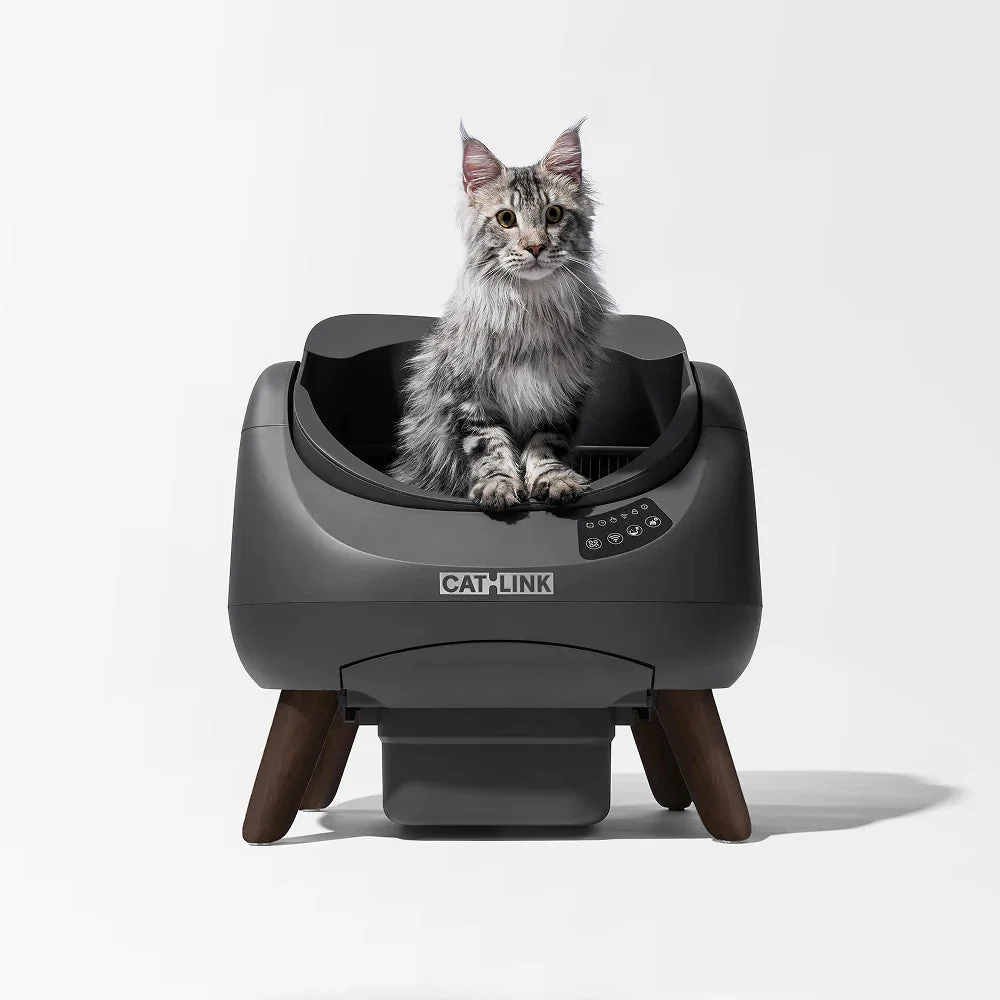 A Collection of Cat Litter Boxes - Image 2