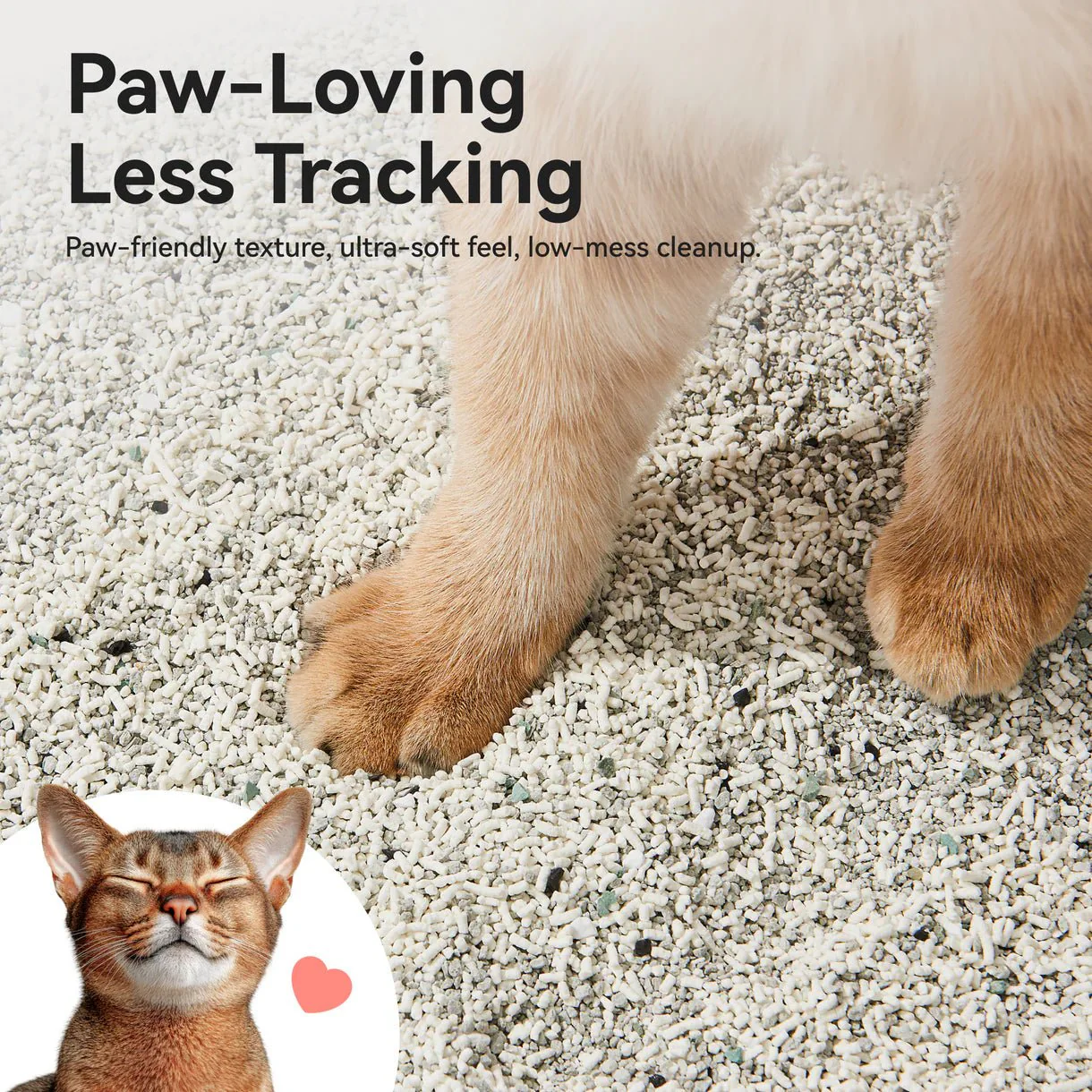 CATLINK Mixed Cat Litter - Image 2