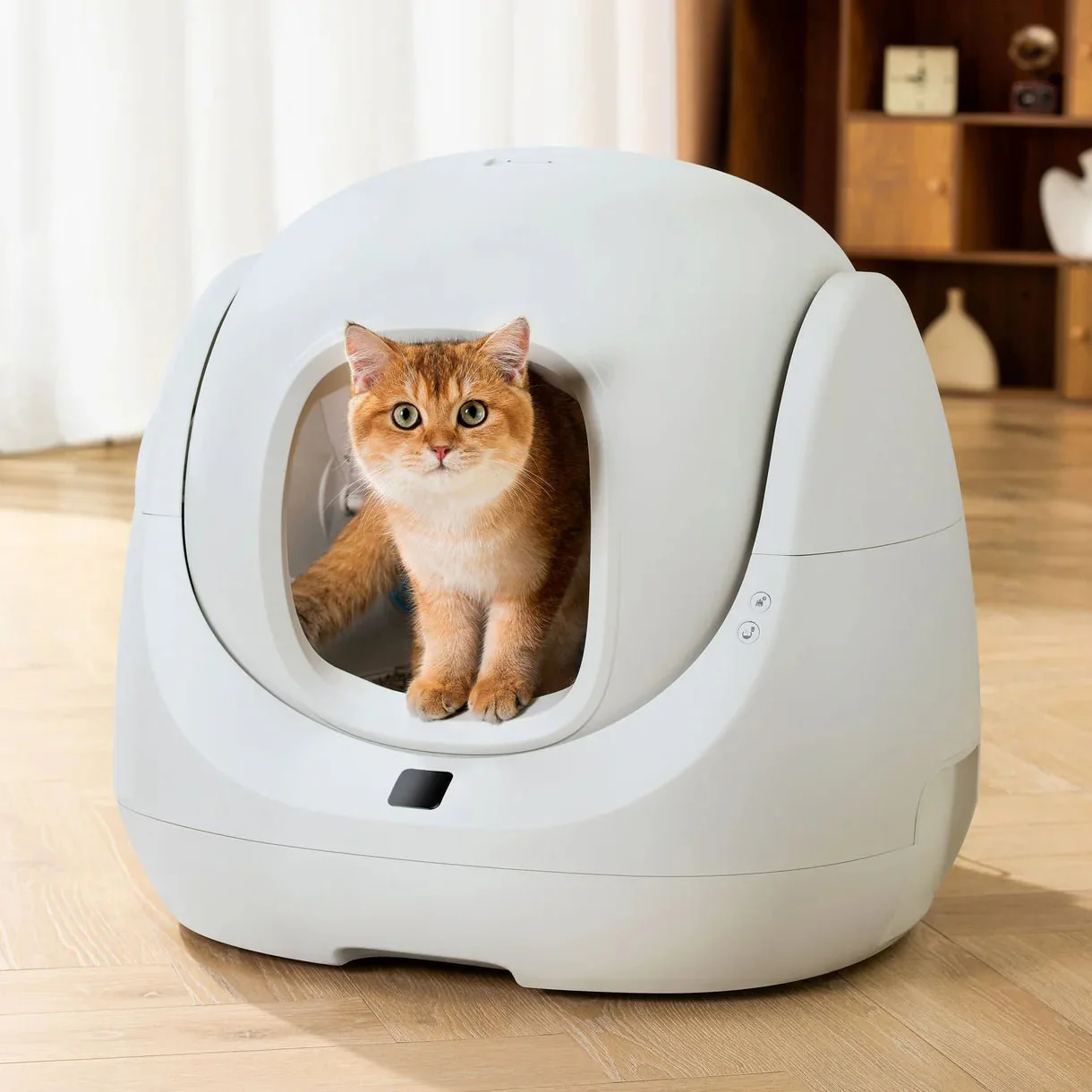Catlink Baymax Lite (Gray) Self-Cleaning Litter Box - Image 24