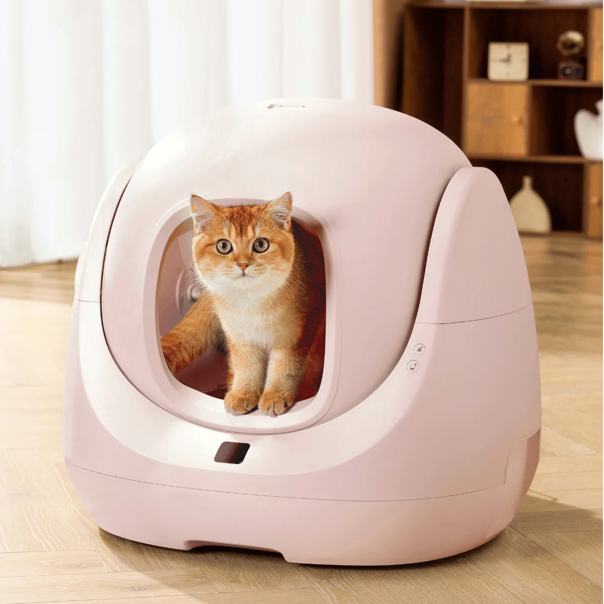 CATLINK Baymax Sakura – Self-Cleaning Litter Box - Image 15