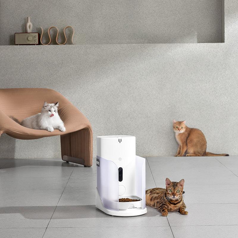 CATLINK Facelink Automatic Cat Feeder with Multi-Cat Detection - Image 4