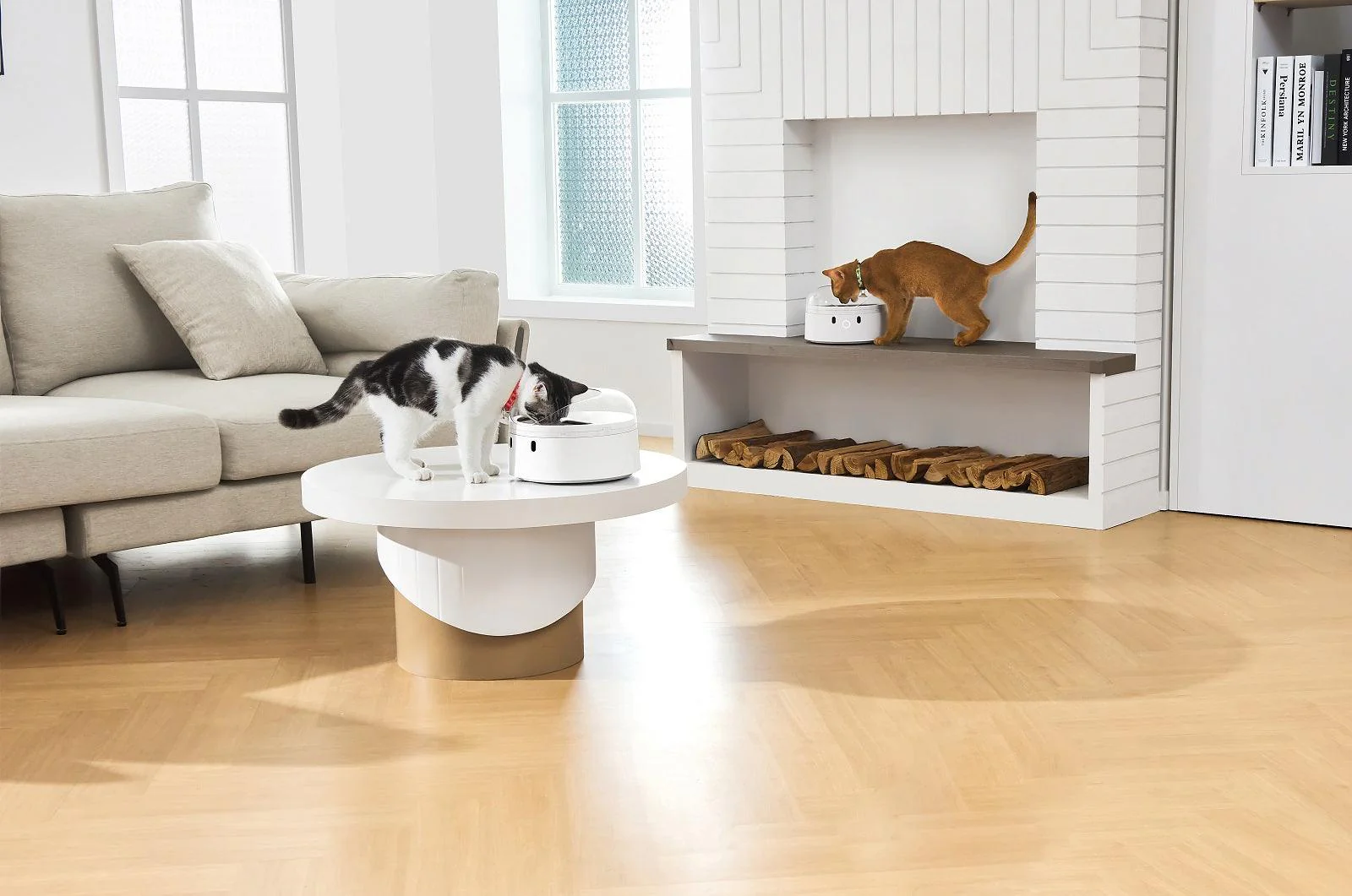 CATLINK RFID F03 Standard Pet Feeder - Image 18