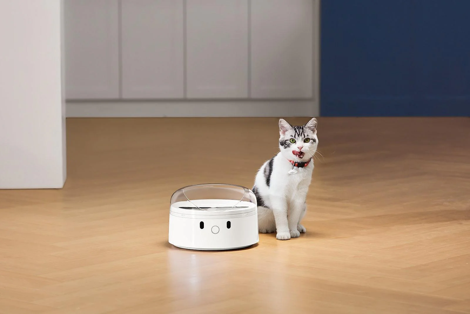 CATLINK RFID F03 Standard Pet Feeder - Image 21