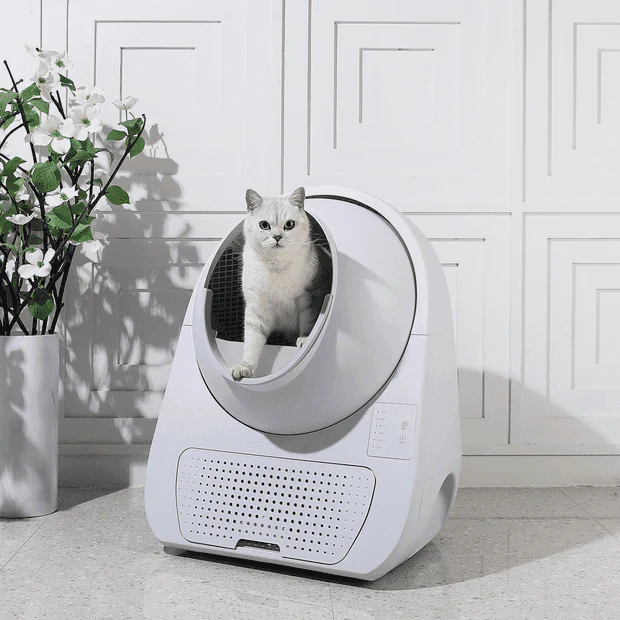 Catlink Young Self-Cleaning Litter Box Stairway-uk - Image 3