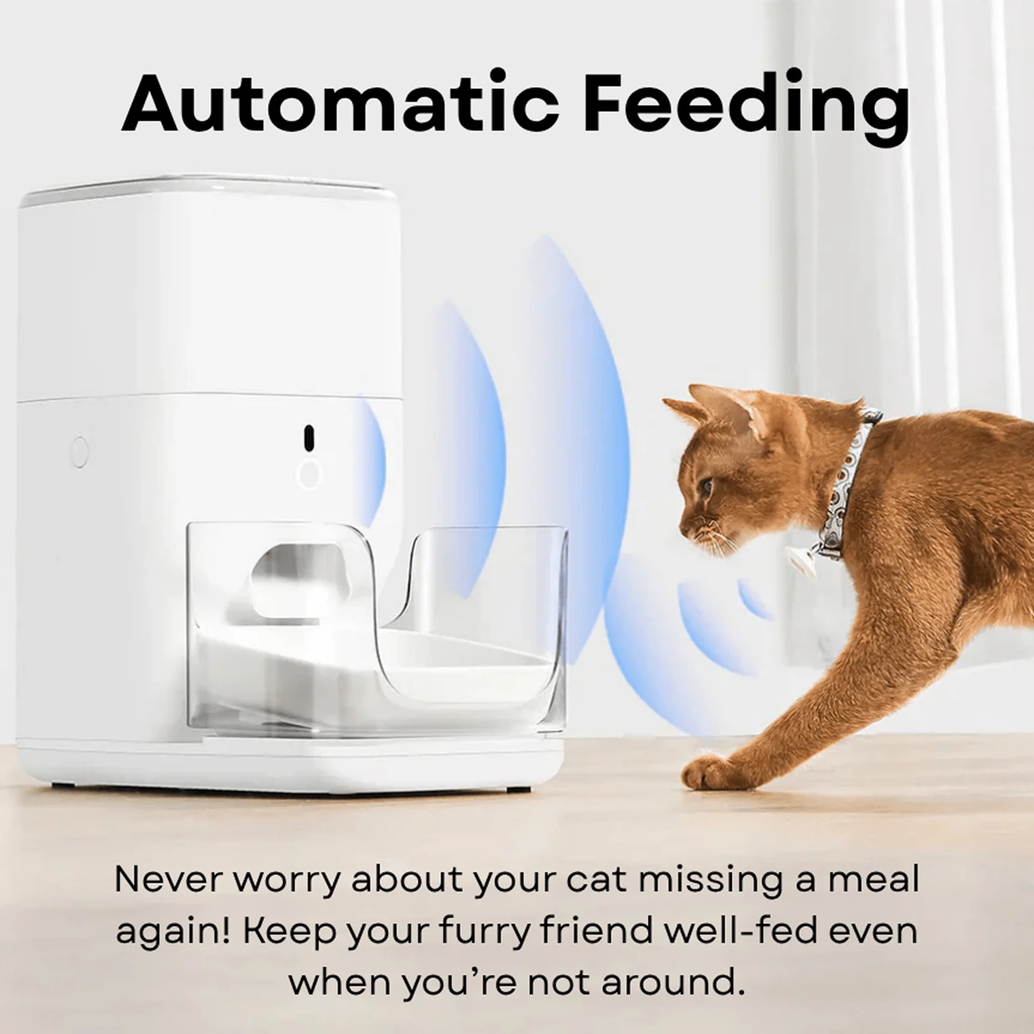 Clean & Feed Bundle - Litter Box, Feeder & Water Fountain Complete Set - Image 20