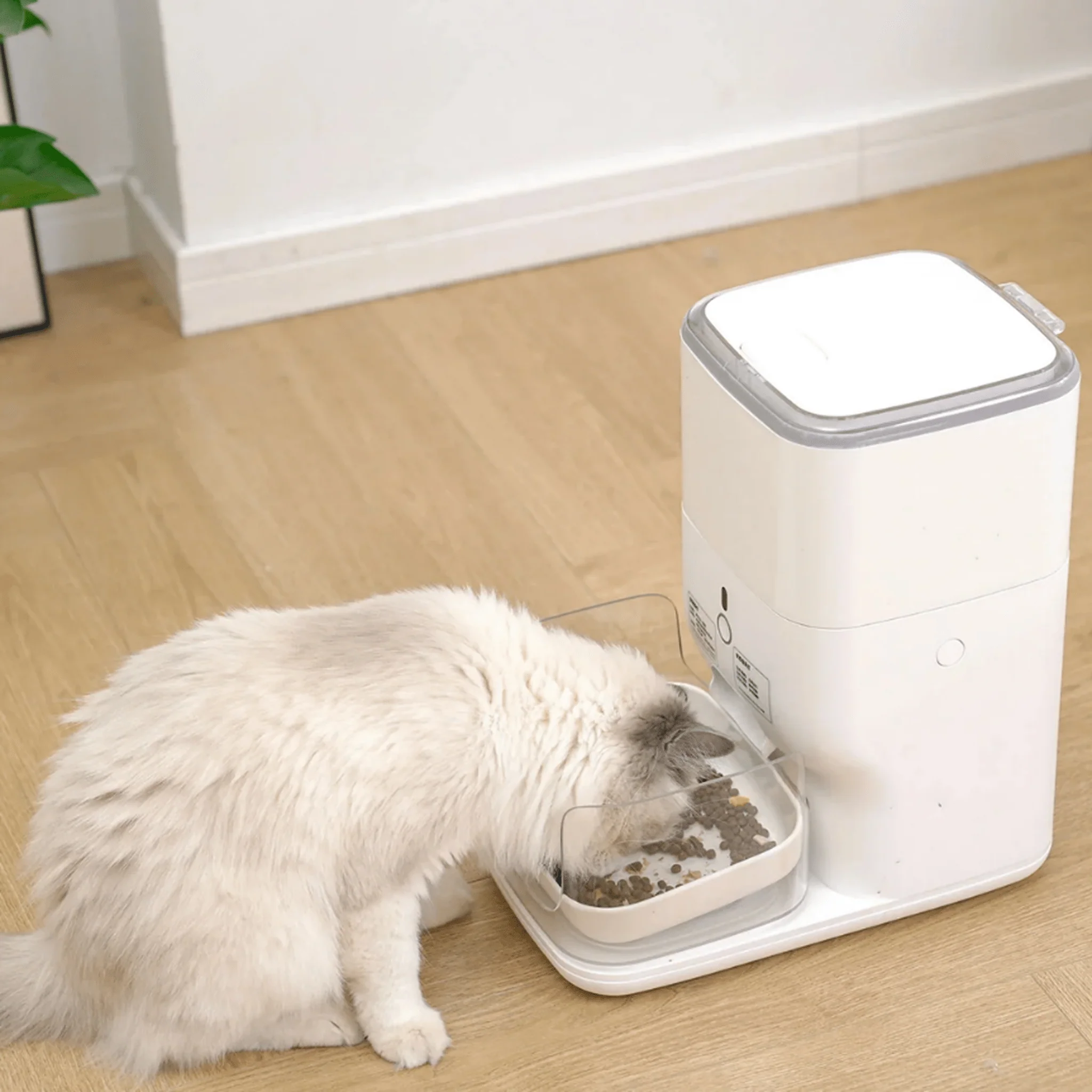 Clean & Feed Bundle - Litter Box, Feeder & Water Fountain Complete Set - Image 30